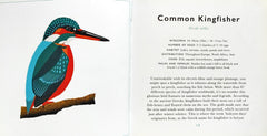 The Little Guide To Birds