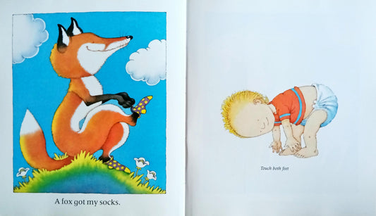 A fox got my Socks