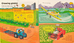 Usborne Look Inside Food (Lift the Flap)