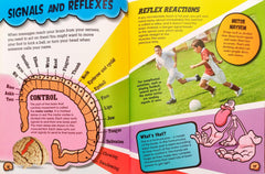 Activity Combo Set 5 (2 Books )