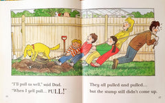 Read at Home Level 3 Set 3 (5 Books)