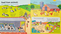 Usborne Look Inside Food (Lift the Flap)