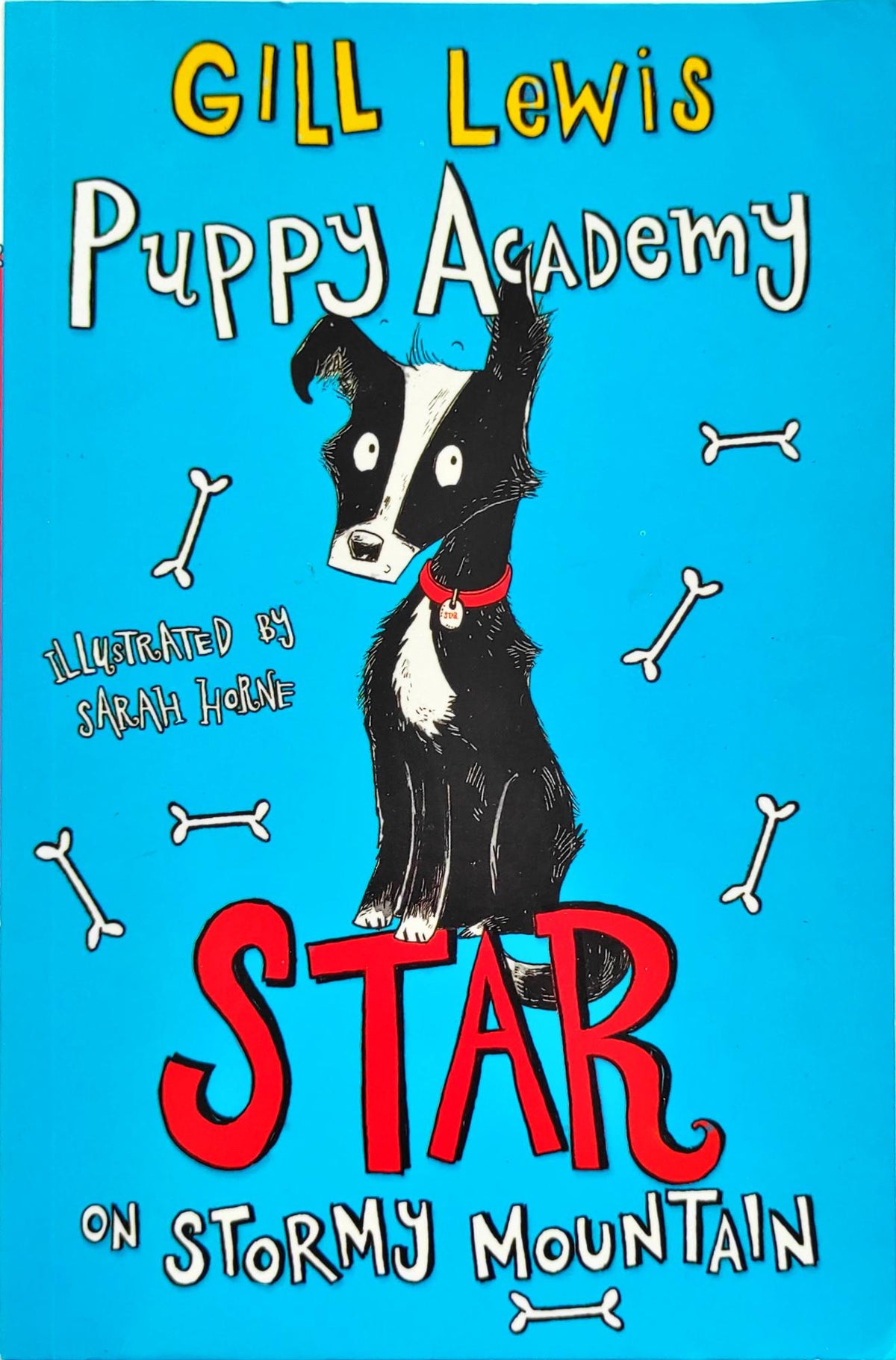 Star on stormy Mountain (Puppy Academy)