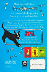 Star on stormy Mountain (Puppy Academy)