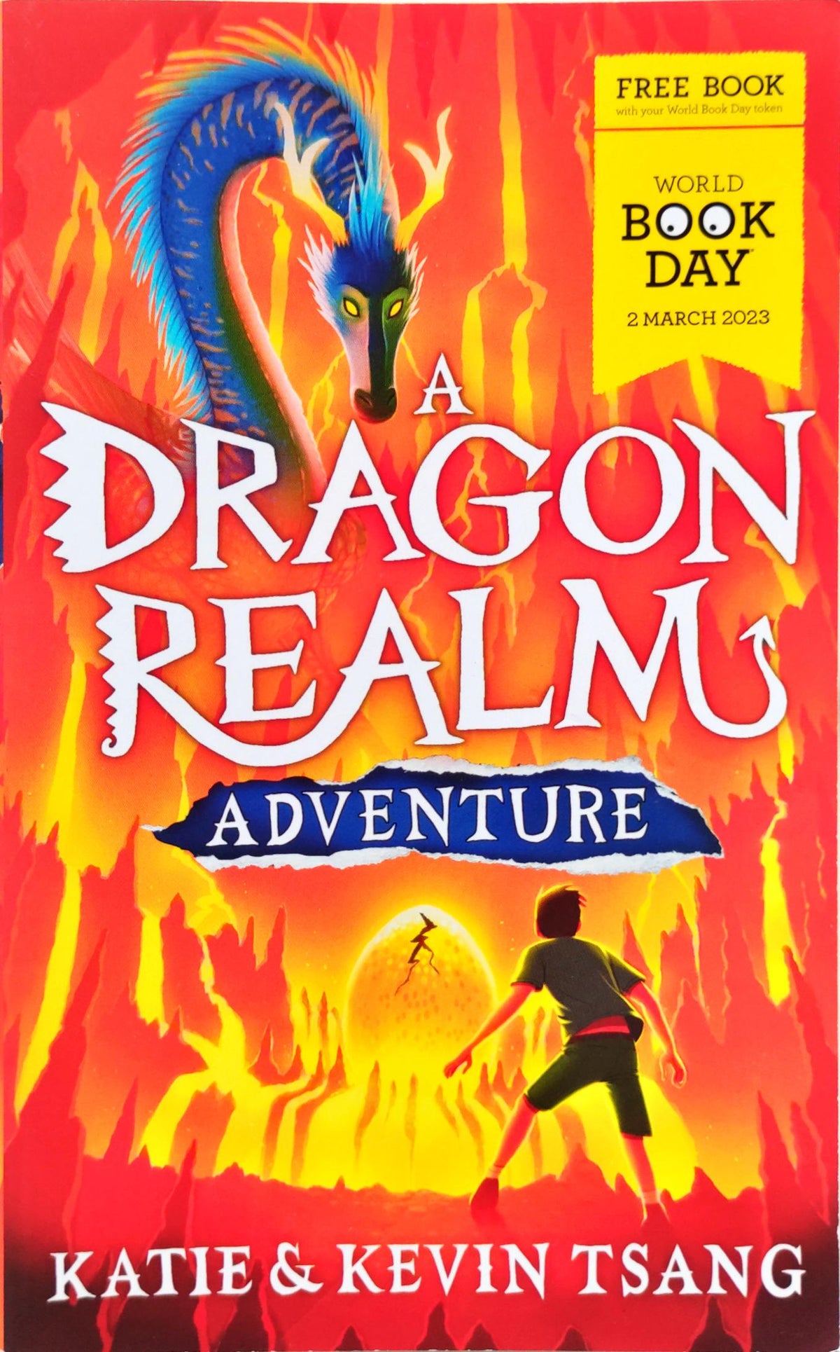A Dragon Realm Adventure