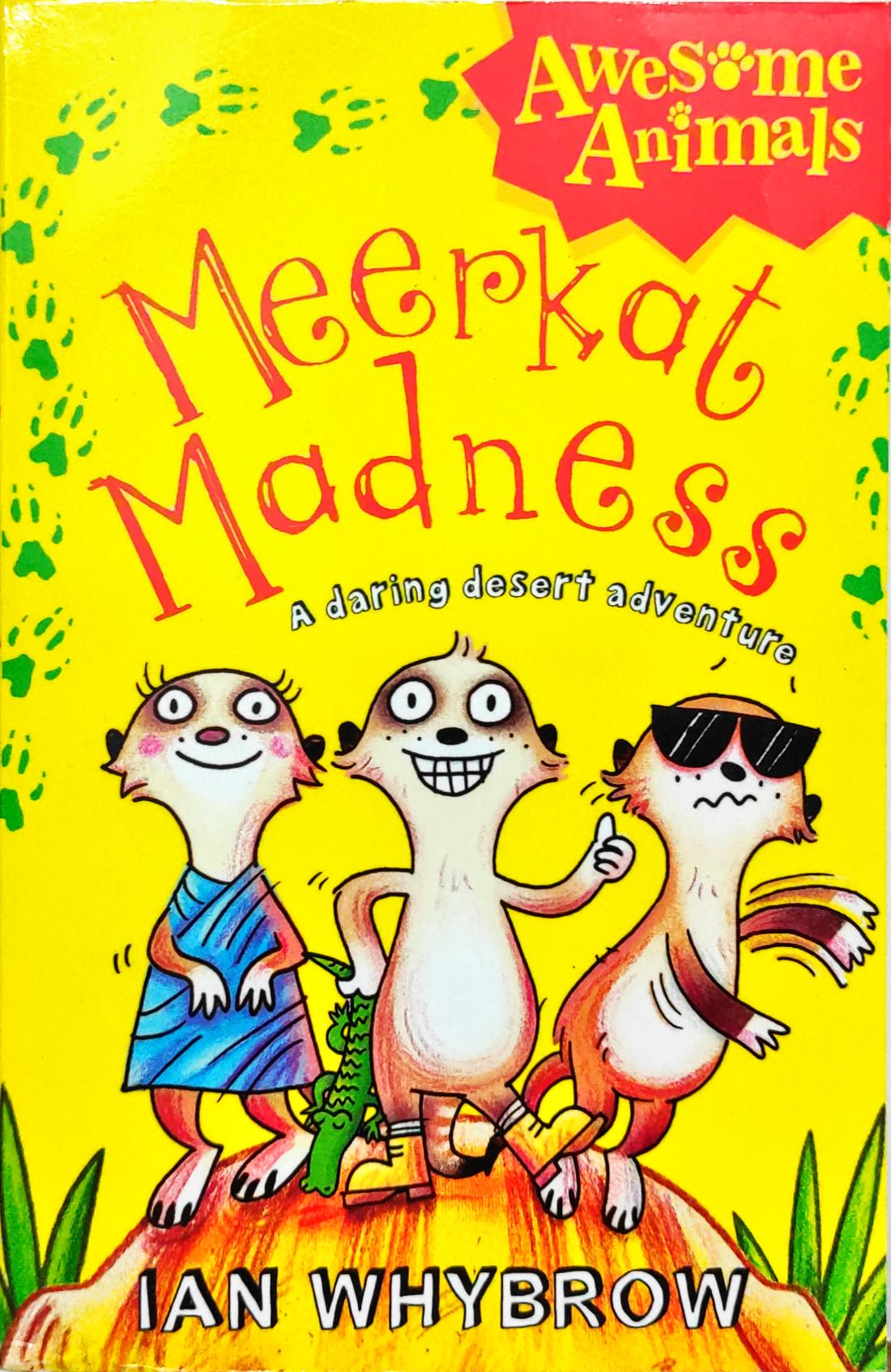 Meerkat Madness a daring desert Adventure