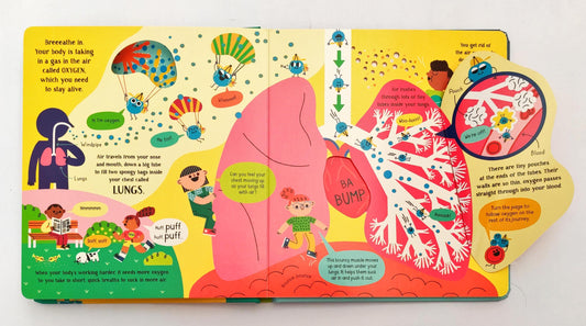 Usborne Step Inside Science Your Body  (Lift the Flap)