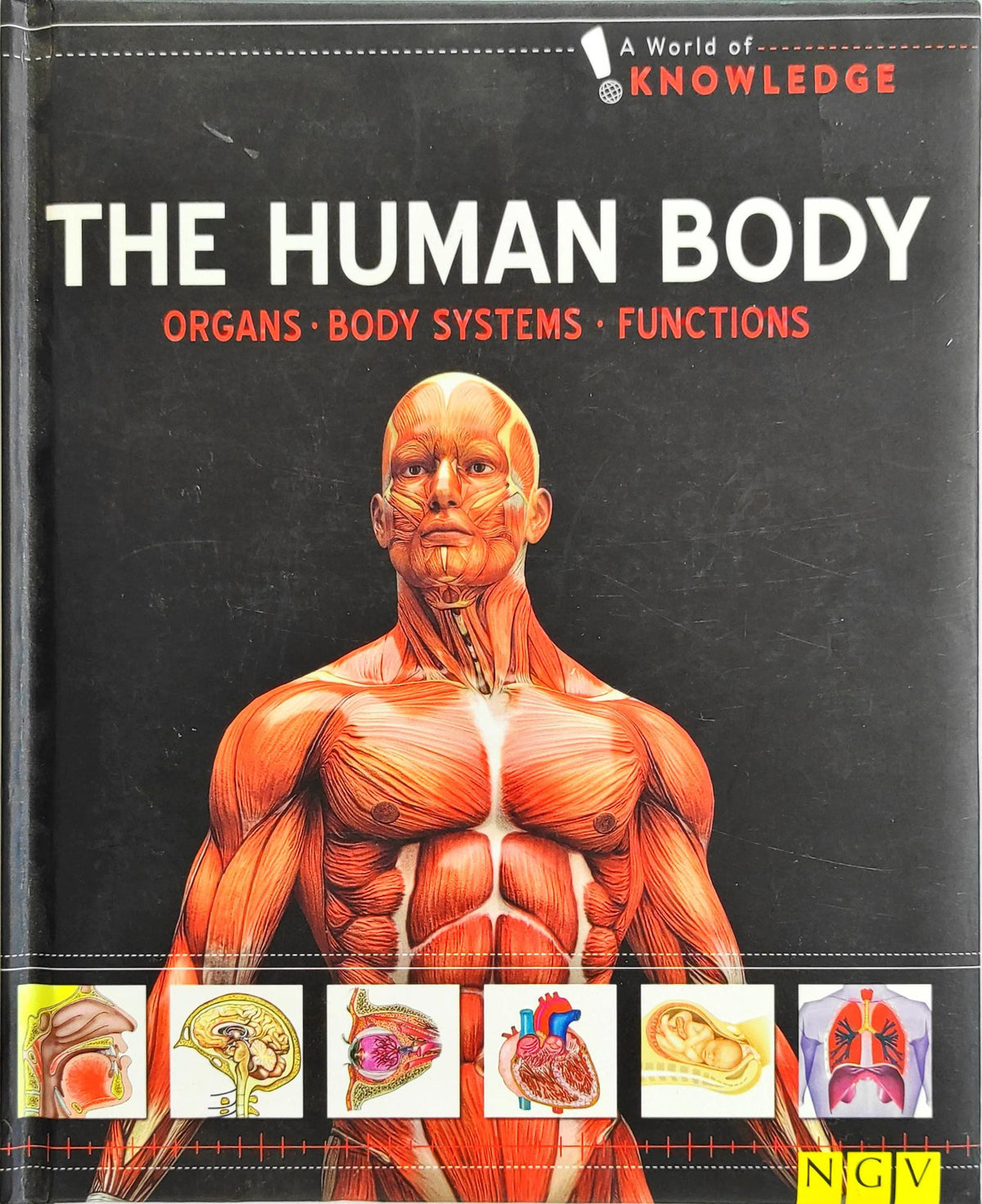 The Human Body (A World of Knowledge)