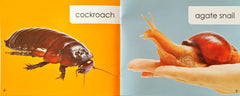 Phonics Level 2 Combo (5 Books)