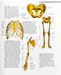 The Human Body (A World of Knowledge)