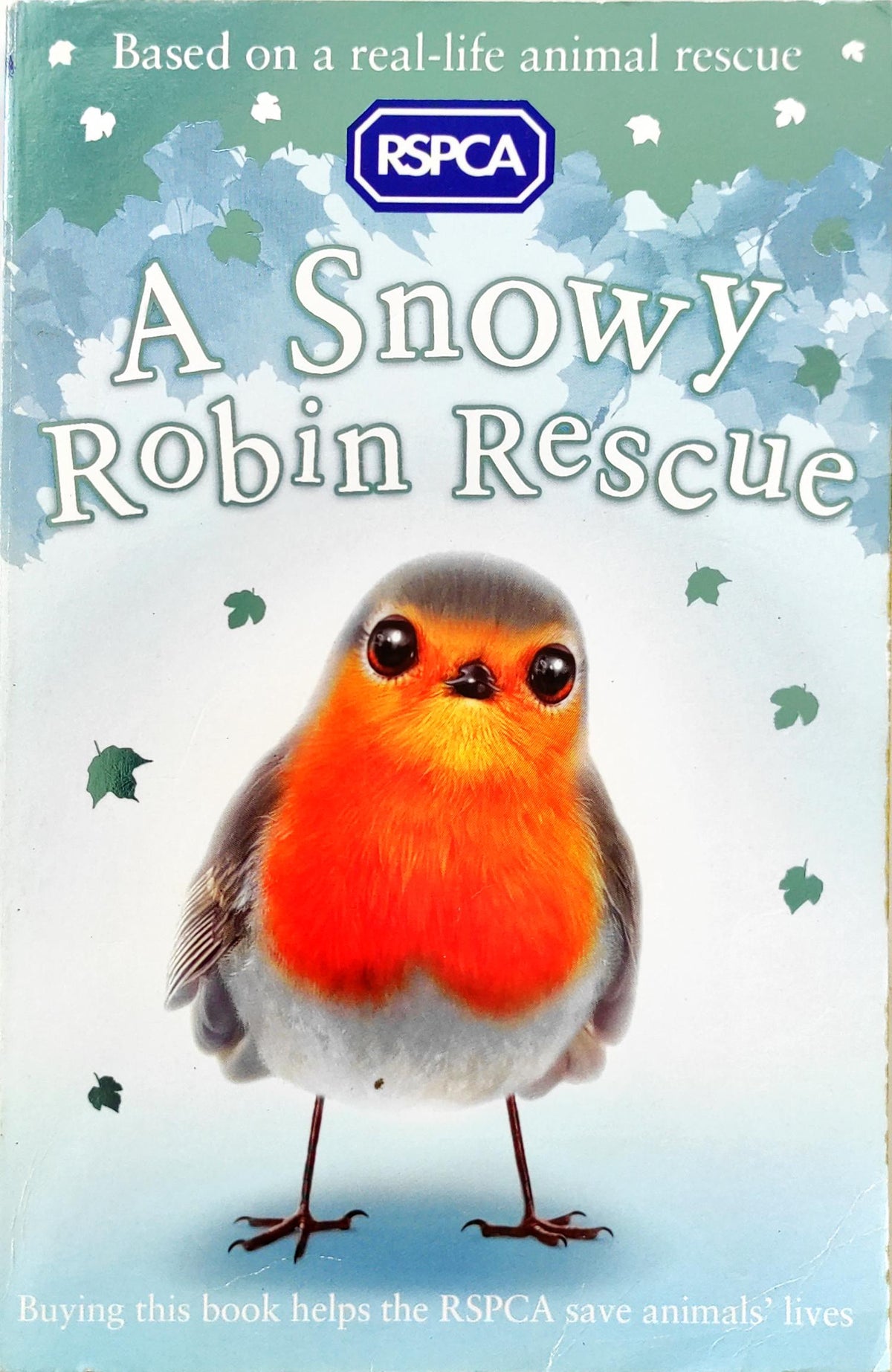 A Snowy Robin Rescue