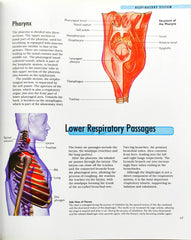 The Human Body (A World of Knowledge)