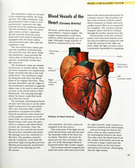 The Human Body (A World of Knowledge)