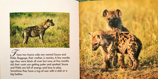 Hyena Family