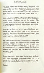 Rainforest Calling
