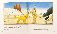 Read at home Level 2 Set 3 (4 Books)