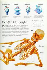 Human Body (Over 100 Questions and Answers)