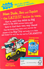 Koala Calamity You Snooze You Lose!