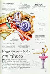 Human Body (Over 100 Questions and Answers)