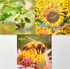 Life Cycles Combo Set 5 (3 Books)