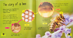 Life Cycles Combo Set 5 (3 Books)