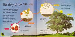 Life Cycles Combo Set 5 (3 Books)