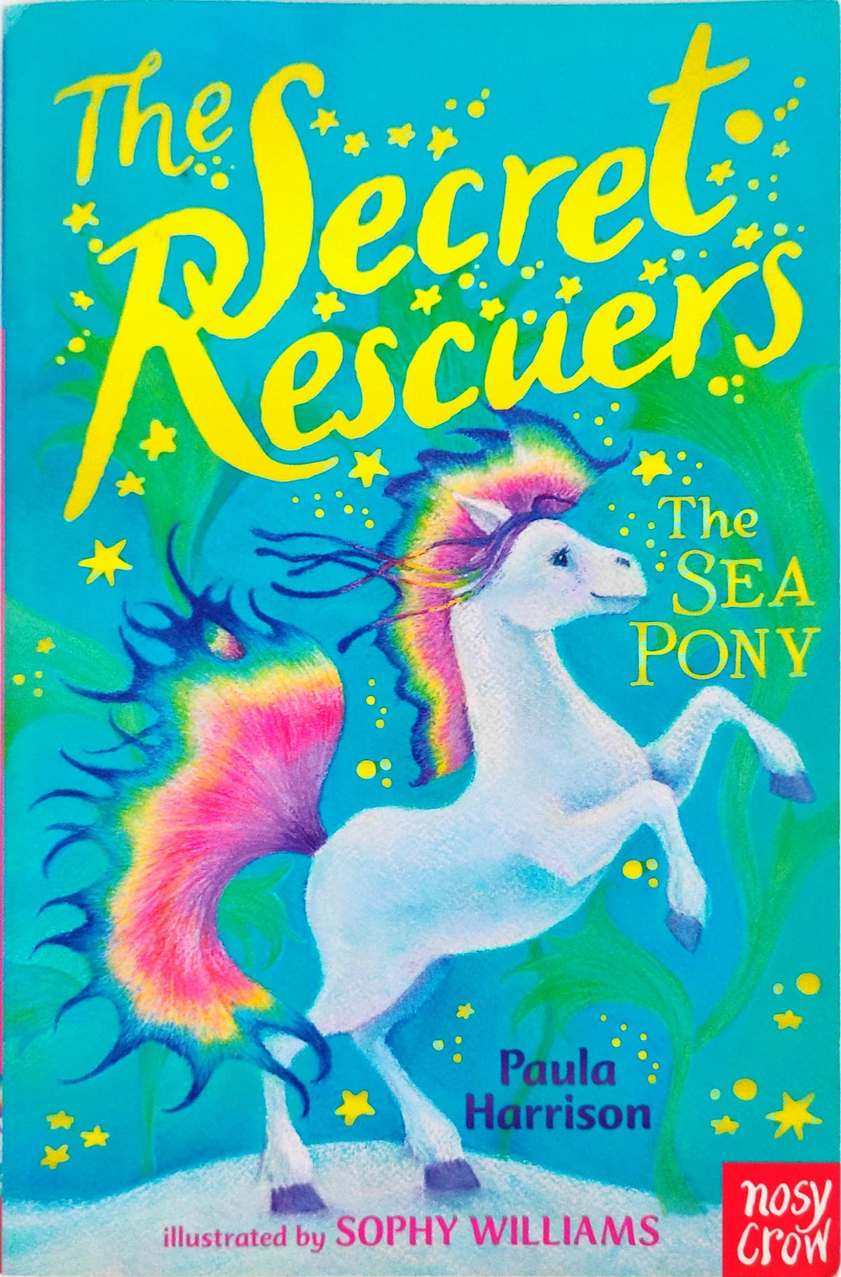 The Secret Rescuers The Sea Pony