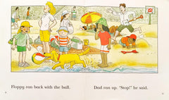 Read at Home Level 3 Set 4 (4 Books)
