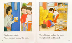 Read at Home Level 3 Set 4 (4 Books)