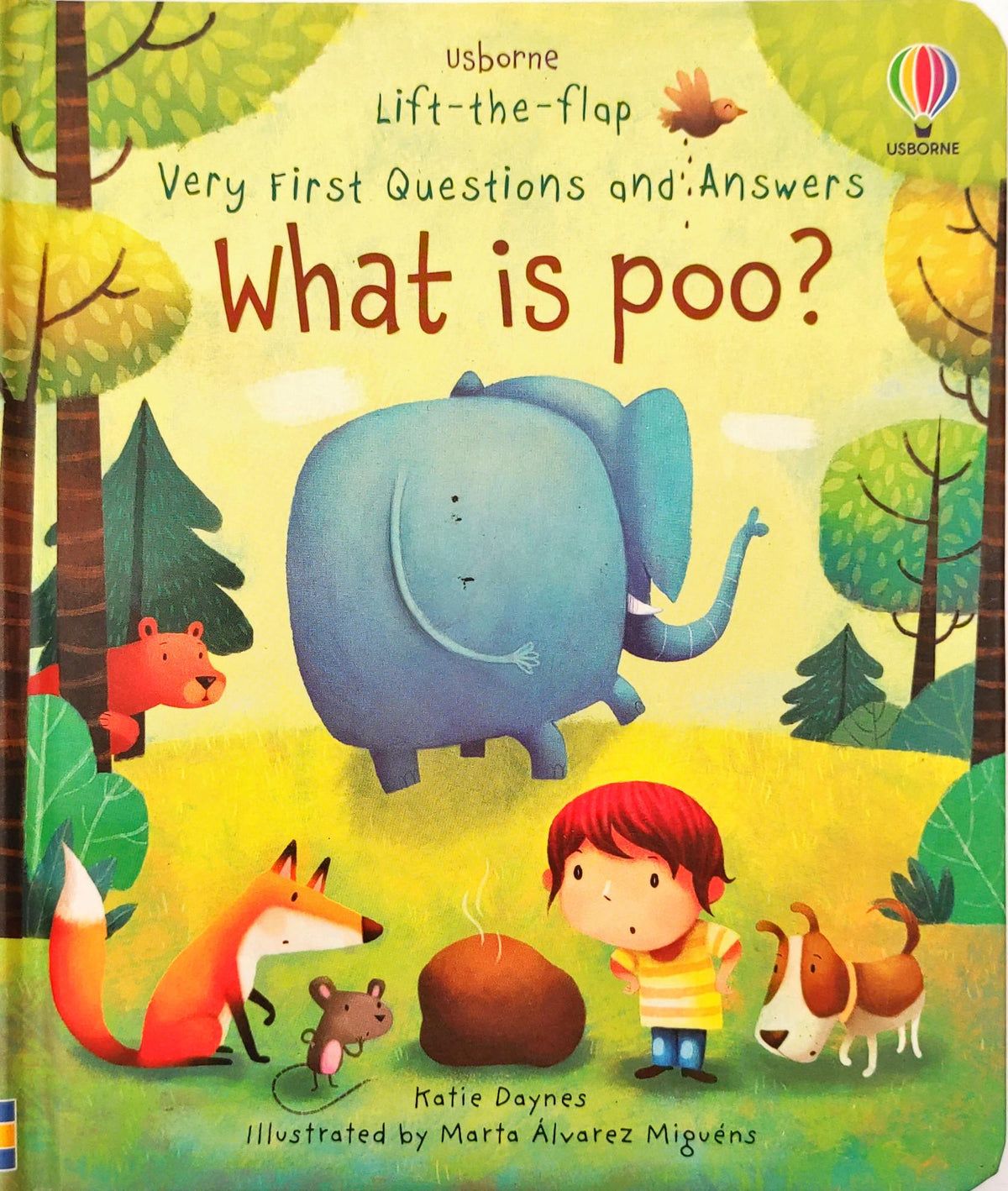 Usborne Very First Questions and Answers What is Poo? (Lift the Flap)