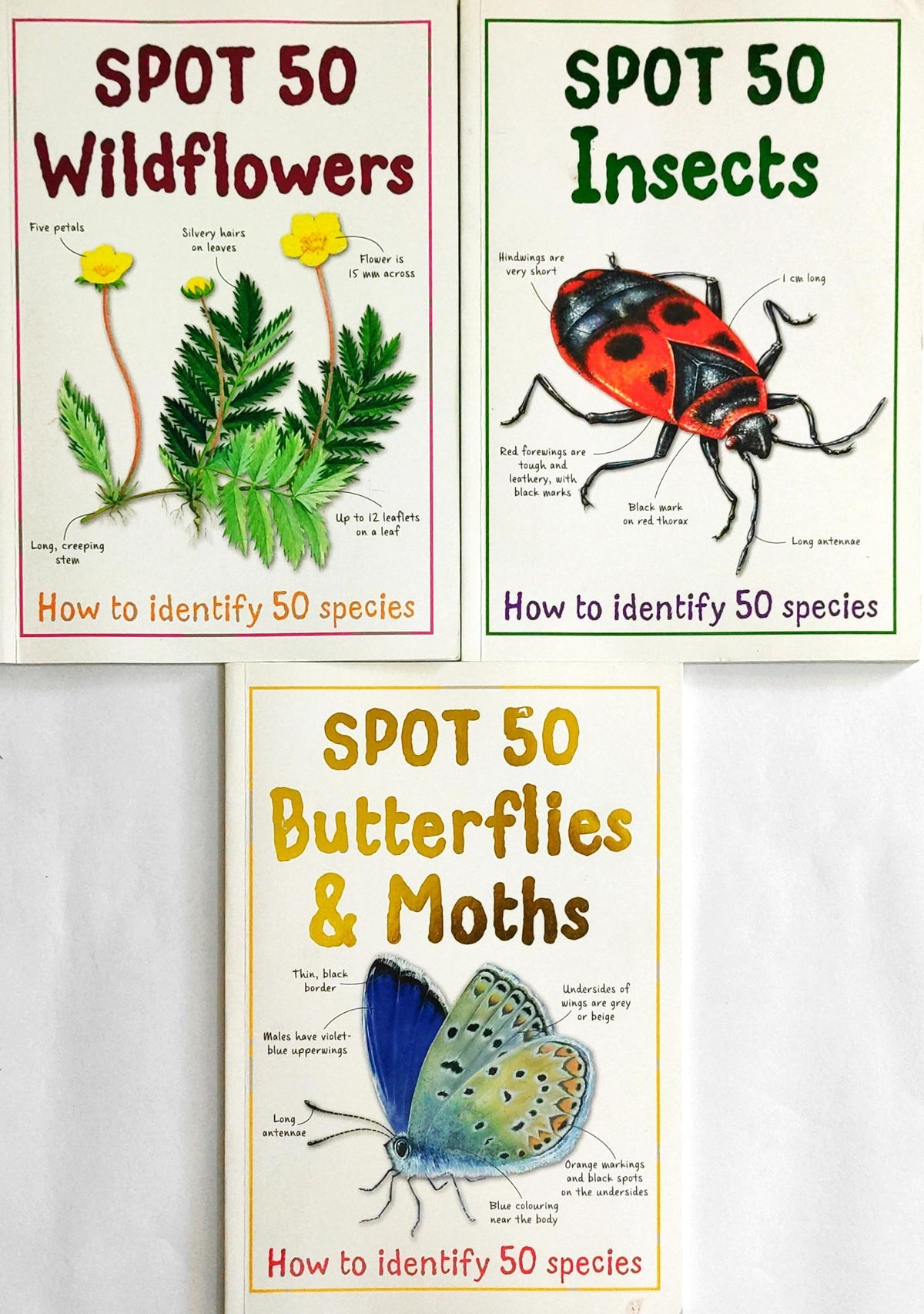 Spot 50 Combo Set 3 (3 Books)
