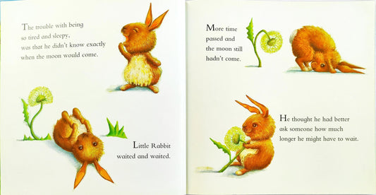 Little Rabbit Couldn't Sleep