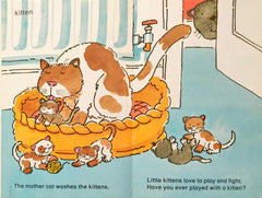 Baby Animals