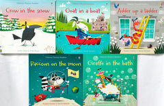 Usborne Phonics Reader Combo Set 25 (5 Books)