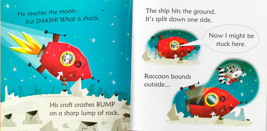 Usborne Phonics Reader Combo Set 25 (5 Books)