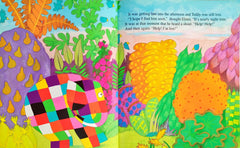 Elmer and the Lost Teddy