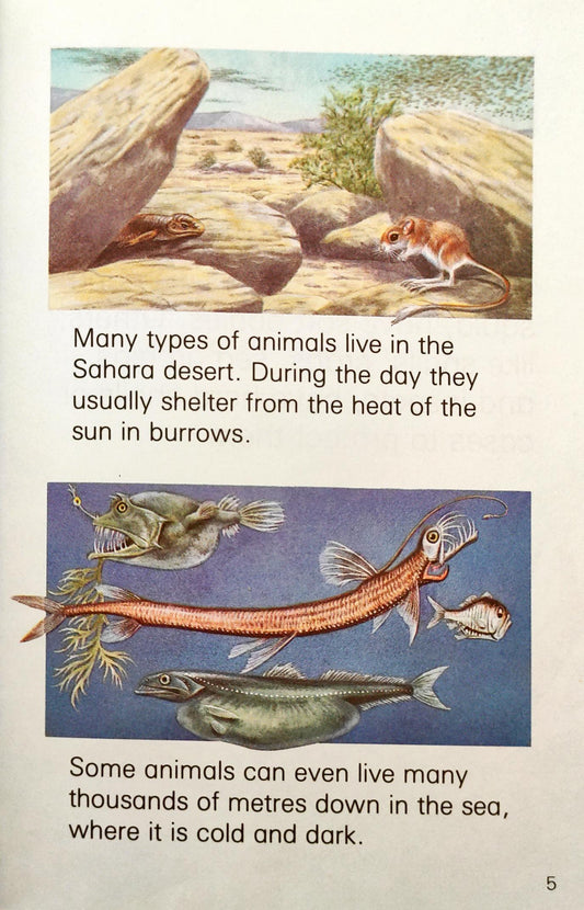 Animals (Ladybird Learners)