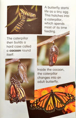 Animals (Ladybird Learners)