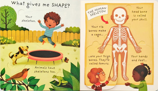 Usborne Very First Questions and Answers What's Inside Me? (Lift the Flap)