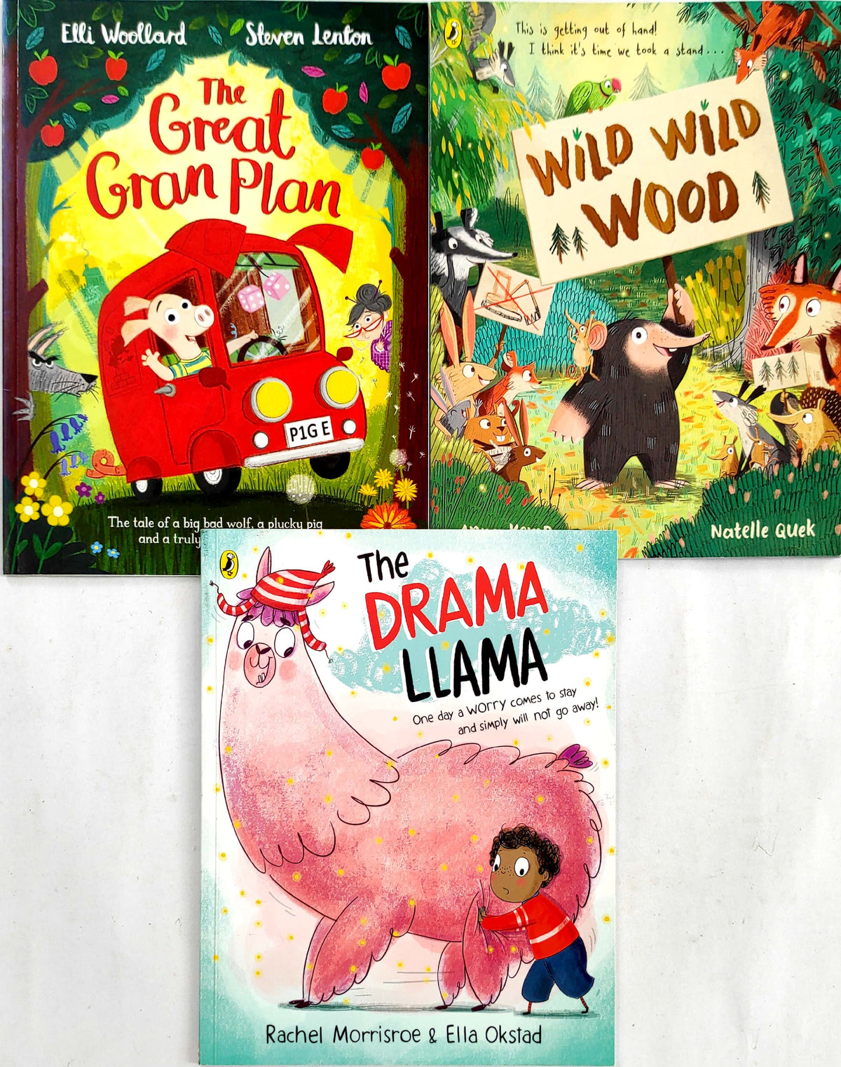 Fun Story Picture Book Set 2, Age 3+ (3 Books)