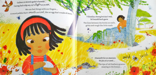 Maya's Walk (Bilingual Book)