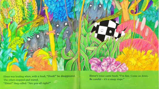 Elmer Combo Set 12 (2 Books)