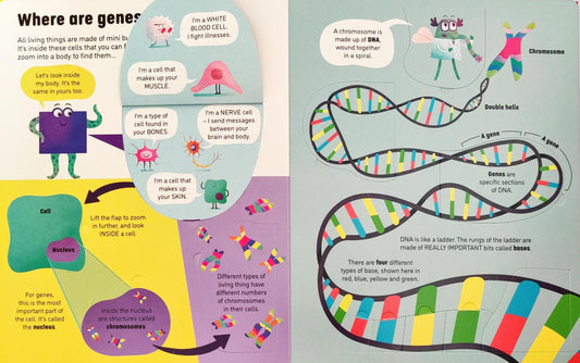 Usborne See Inside Genes and DNA (Lift the Flap)