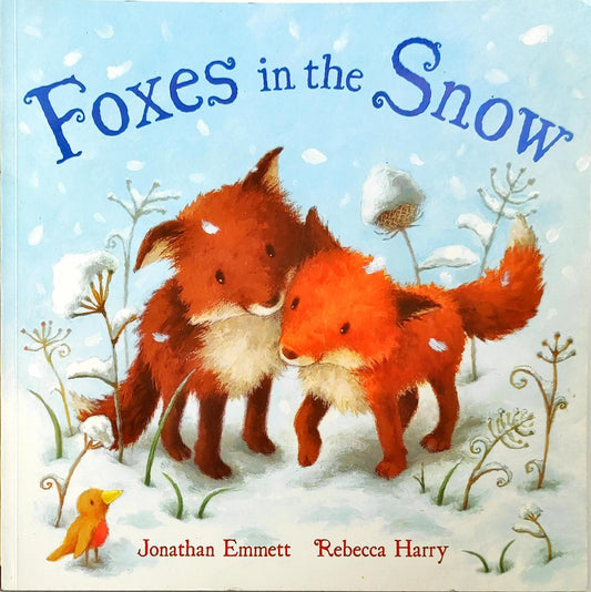 Foxes in the Snow