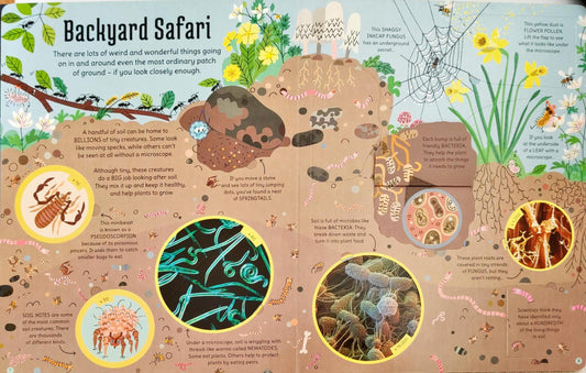 Usborne See Inside The Microscopic World (Lift the Flap)