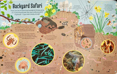 Usborne See Inside The Microscopic World (Lift the Flap)