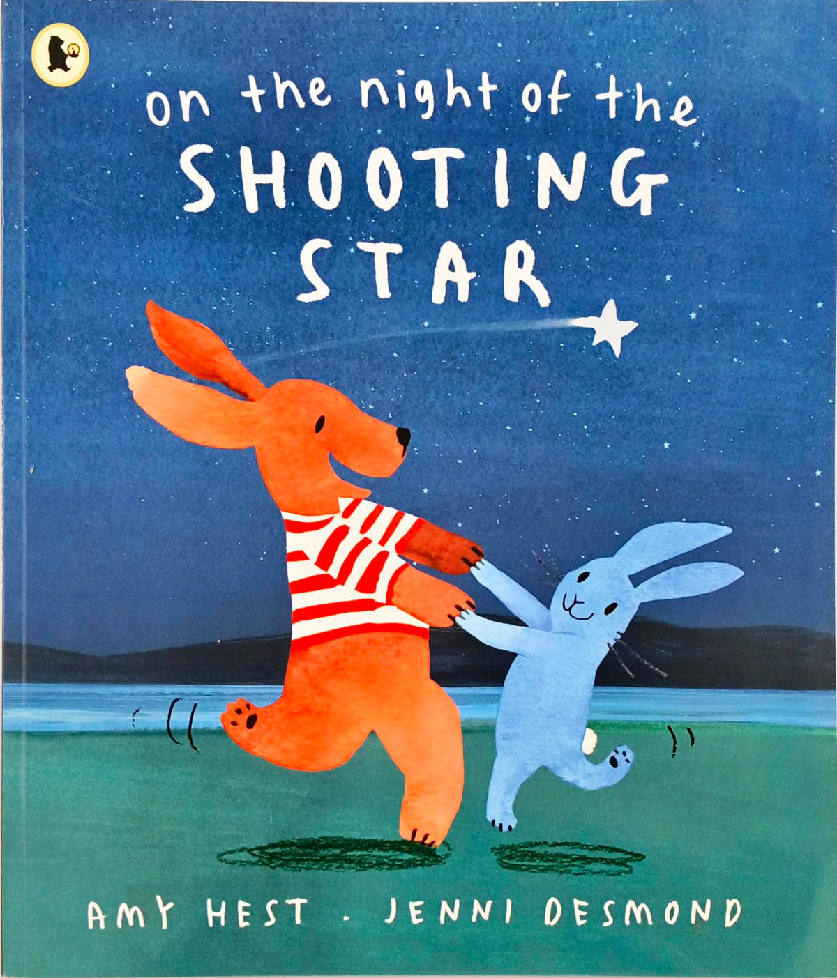 On the Night of the Shooting Star