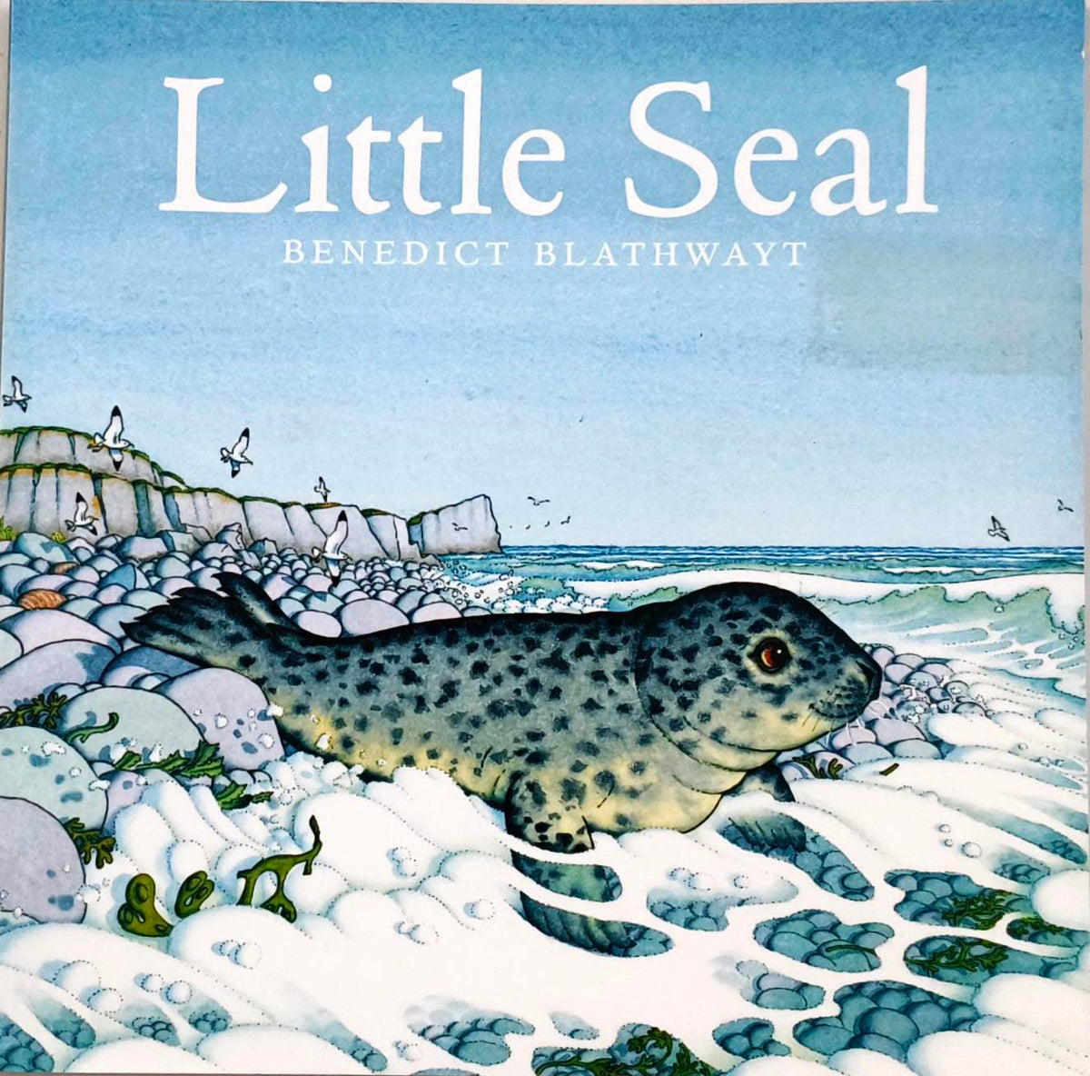 Little Seal