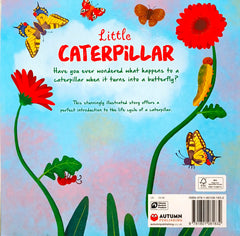 Little Caterpillar