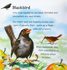 My First Book of Garden Birds